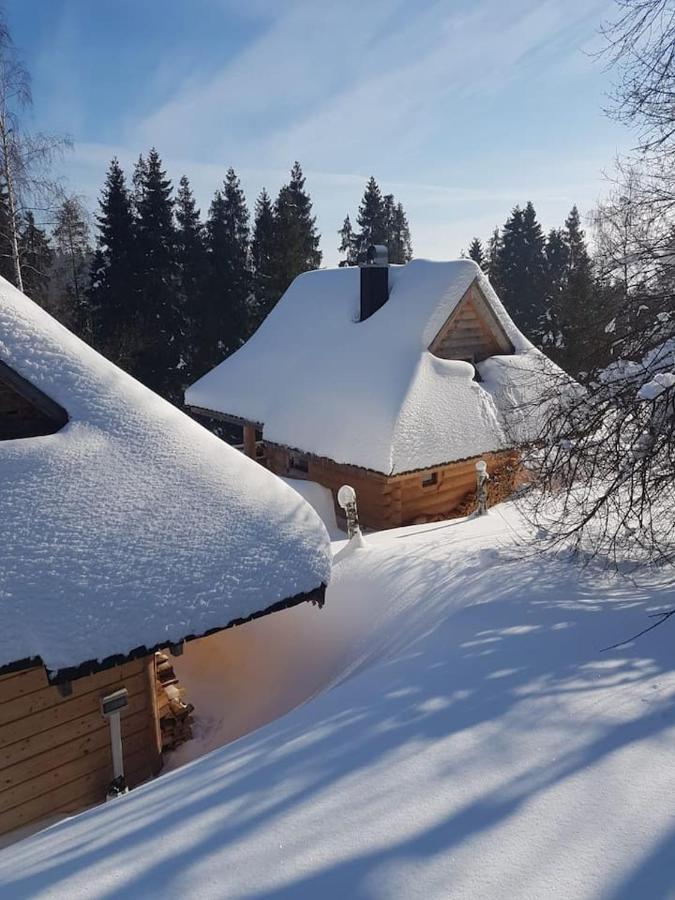 Mountain Chalet Smolenisko Domek W Gorach ノヴィ・タルク エクステリア 写真