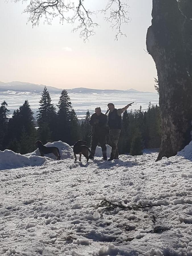 Mountain Chalet Smolenisko Domek W Gorach ノヴィ・タルク エクステリア 写真