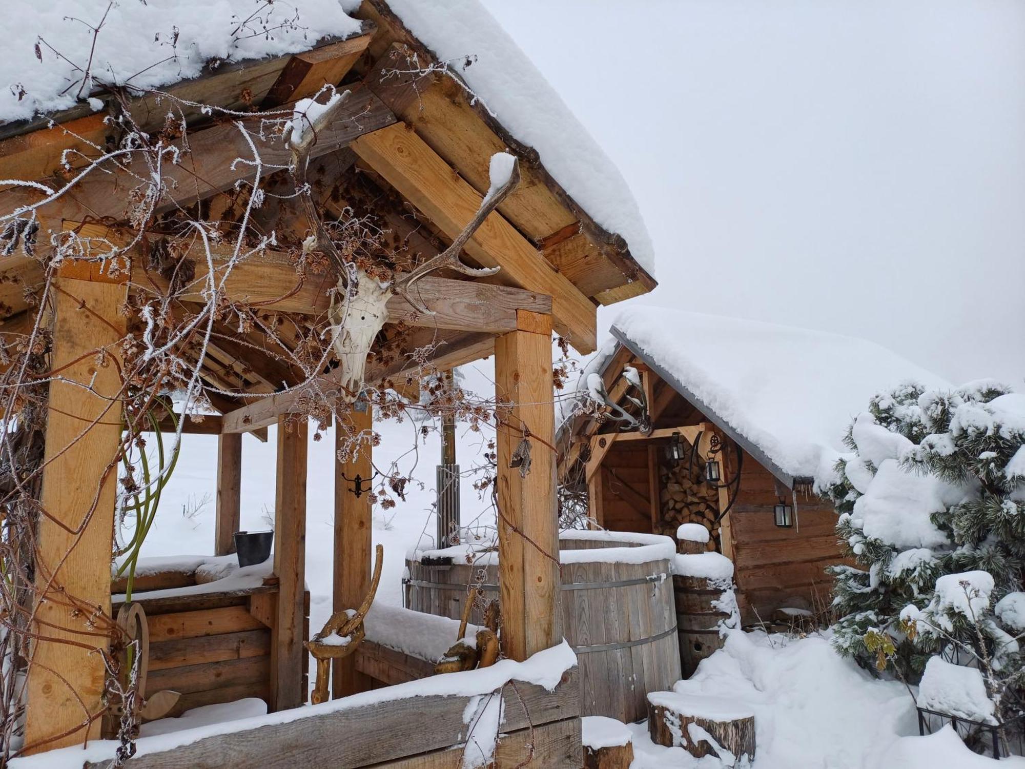 Mountain Chalet Smolenisko Domek W Gorach ノヴィ・タルク エクステリア 写真